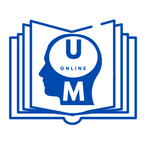 Use Online Mirror Logo